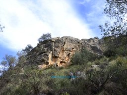 Yacimiento de la Almoloya 2007